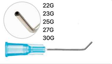 Anterior Chamber (Rycroft)